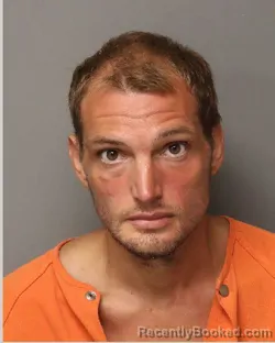 Mugshot of COLTON LOGAN PITCOCK