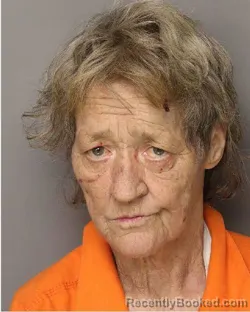 Mugshot of PATRICIA DIANE WILLIAMSON