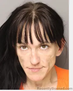 Mugshot of KARINA SUZANNE LOUISE BARRATT