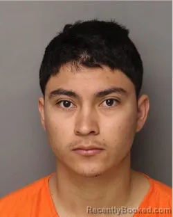 Mugshot of WILMER RENE ARITA