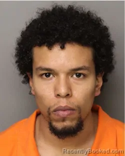 Mugshot of AILEEM NADIR DAWSON