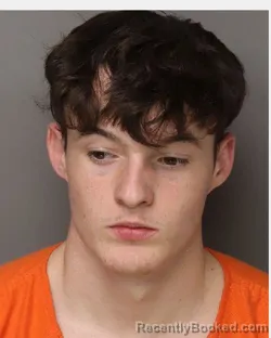 Mugshot of REESE HARRISON PATRICK booked in Lancaster County, South Carolina on March 17, 2026