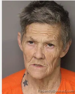 Mugshot of SHERRI BALLARD MORRIS booked in Lancaster County, South Carolina on March 20, 2026