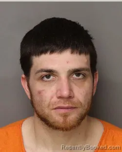 Mugshot of DAVID DALTON LEE booked in Lancaster County, South Carolina on March 26, 2026