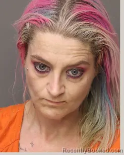 Mugshot of CANDACE IRENE WALLACE booked in Lancaster County, South Carolina on March 27, 2026