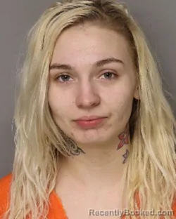 Mugshot of ASHLYN GRACE LANEY booked in Lancaster County, South Carolina on March 29, 2026