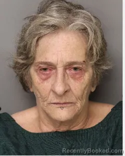 Mugshot of JOHNNIE RENE DEAK booked in Lancaster County, South Carolina on March 29, 2026