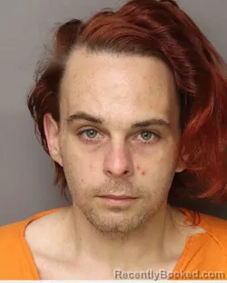 Mugshot of HARLEY WAYNE CHAPMAN booked in Lancaster County, South Carolina on March 29, 2026