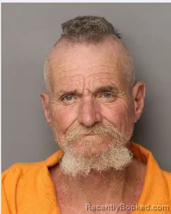 Mugshot of RICKY LYNN Senior HINSON booked in Lancaster County, South Carolina on March 30, 2026