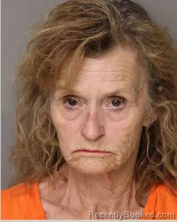 Mugshot of BARBARA ANN BROWNELL booked in Lancaster County, South Carolina on April 2, 2026