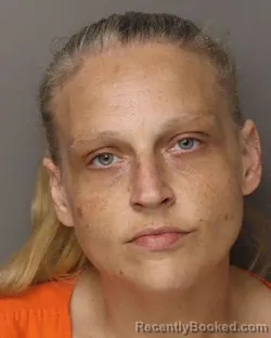 Mugshot of TRESSIE ANNA WILSON booked in Lancaster County, South Carolina on April 2, 2026