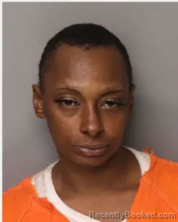 Mugshot of SHAMEKIA COHEN OLIVER booked in Lancaster County, South Carolina on April 5, 2026