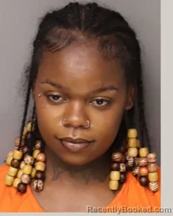 Mugshot of DEPRESHIA ALISHA GARRIS booked in Lancaster County, South Carolina on April 5, 2026