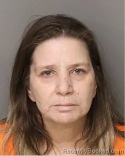 Mugshot of LAURA LYN LEE booked in Lancaster County, South Carolina on April 14, 2026