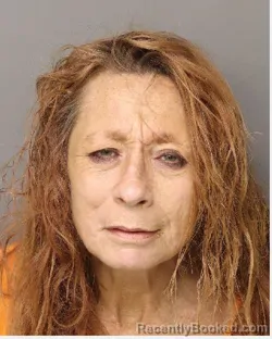 Mugshot of KIMBERLY SHELTON PATRICK booked in Lancaster County, South Carolina on April 15, 2026