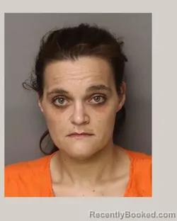 Mugshot of BRITTANY FRANCIS GAINEY booked in Lancaster County, South Carolina on April 16, 2026