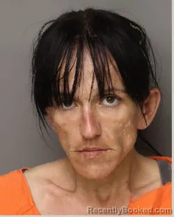 Mugshot of KARINA SUZANNE LOUISE BARRATT booked in Lancaster County, South Carolina on April 16, 2026