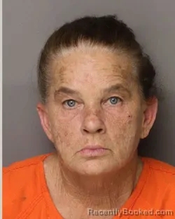 Mugshot of ANN MARIE HUDSON booked in Lancaster County, South Carolina on April 22, 2026
