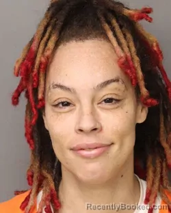 Mugshot of MORGAN BRITTANY CHAMBERS booked in Lancaster County, South Carolina on April 24, 2026