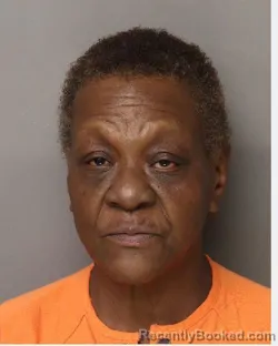 Mugshot of SYLVIA RENEE SQUIREWELL booked in Lancaster County, South Carolina on April 25, 2026