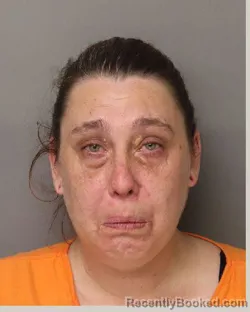 Mugshot of AMANDA LESHEA OUTLAW booked in Lancaster County, South Carolina on April 29, 2026