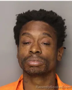 Mugshot of LEON LEE NEWMAN booked in Lancaster County, South Carolina on May 21, 2026