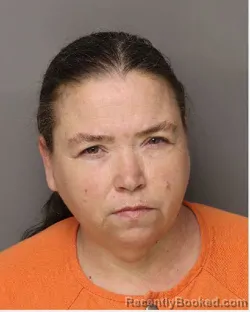 Mugshot of SUSAN MONTGOMERY HOPKINS booked in Lancaster County, South Carolina on May 22, 2026