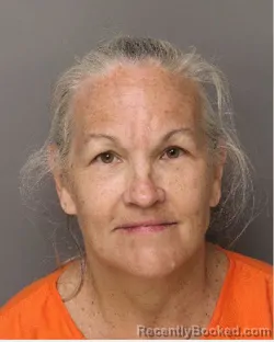 Mugshot of ANNE DUBOSE BANKS booked in Lancaster County, South Carolina on May 26, 2026