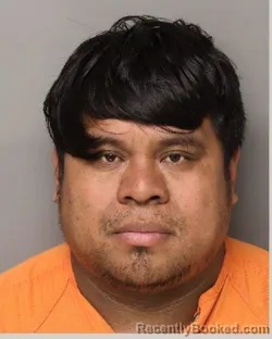 Mugshot of NELSON ESTEFAN NUNEZ GOMEZ booked in Lancaster County, South Carolina on May 27, 2026