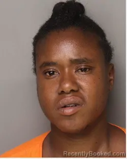 Mugshot of AKEEBA BOSHAY ALLEN booked in Lancaster County, South Carolina on May 27, 2026