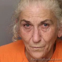 Mugshot of TAMMY KNIGHT COLLINS booked in Lancaster County, South Carolina on May 28, 2026