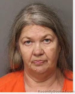 Mugshot of SUSAN CHRISCOE booked in Lancaster County, South Carolina on June 2, 2026