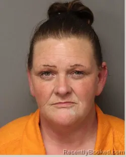 Mugshot of ANGELA JEANETTE ELLIS booked in Lancaster County, South Carolina on June 2, 2026