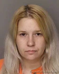 Mugshot of ASHLEY CAROL PARISH booked in Lancaster County, South Carolina on June 4, 2026