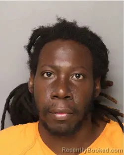 Mugshot of KENNETH MICHAEL Junior HARRIS booked in Lancaster County, South Carolina on July 2, 2026