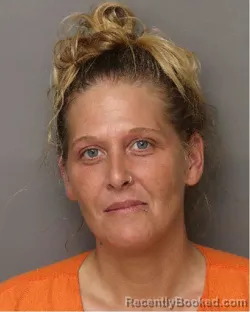 Mugshot of HEATHER ELIZABETH GARRISON booked in Lancaster County, South Carolina on July 4, 2026