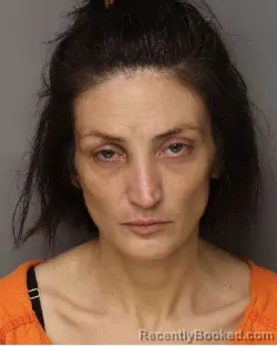 Mugshot of AMANDA DAWN PATTERSON booked in Lancaster County, South Carolina on July 5, 2026