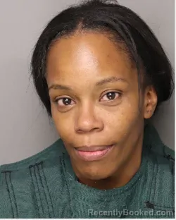 Mugshot of DANIELLE NICOLE SIMILTON booked in Lancaster County, South Carolina on July 12, 2026