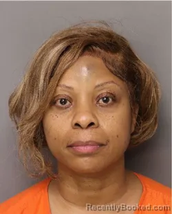 Mugshot of ANDREANA BARNES BUFFORD booked in Lancaster County, South Carolina on July 15, 2026