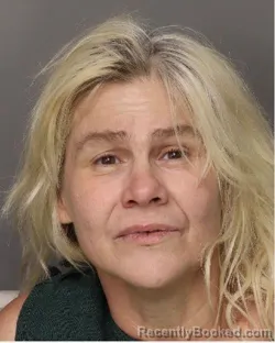 Mugshot of LESLIE ANN MAHAFFEY booked in Lancaster County, South Carolina on July 17, 2026