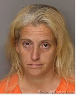 Mugshot of TIFFANY JEAN SHURLEY booked in Lancaster County, South Carolina on July 20, 2026