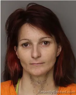 Mugshot of ALLISON ELIZABETH MILLS booked in Lancaster County, South Carolina on July 21, 2026