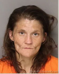 Mugshot of BRITTANY DAWN ALTMAN booked in Lancaster County, South Carolina on July 22, 2026
