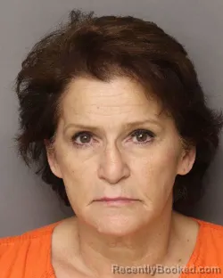 Mugshot of RENEE HEWITT SCHMADER booked in Lancaster County, South Carolina on July 24, 2026