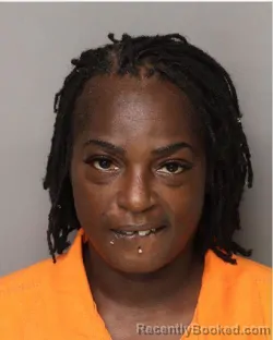 Mugshot of YANESHIA YATAUNE CRAIG booked in Lancaster County, South Carolina on July 28, 2026