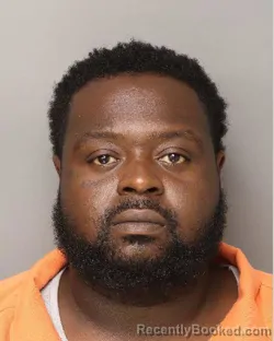 Mugshot of JAMARIO LAMONTA MCKINNEY booked in Lancaster County, South Carolina on July 30, 2026