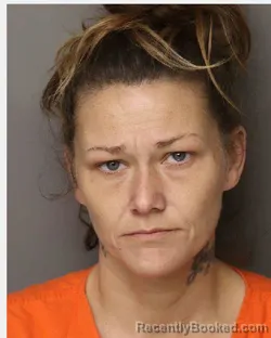 Mugshot of JENNIFER ASHLEY-PATRICIA JEWETT booked in Lancaster County, South Carolina on July 30, 2026