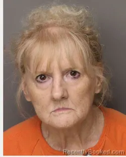 Mugshot of Deborah G Garrison booked in Lancaster County, South Carolina on August 6, 2026