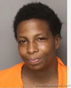 Mugshot of Tyqueshia Javontae Wright booked in Lancaster County, South Carolina on August 15, 2026