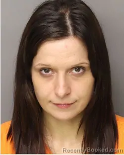 Mugshot of Lindsey Ellen Stitzel booked in Lancaster County, South Carolina on August 17, 2026